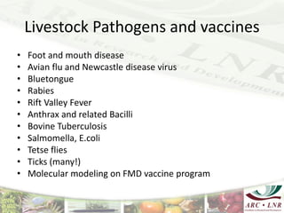 Livestock genomics—Experiences from South Africa
