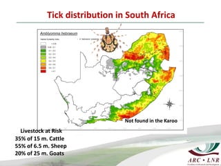 Livestock genomics—Experiences from South Africa