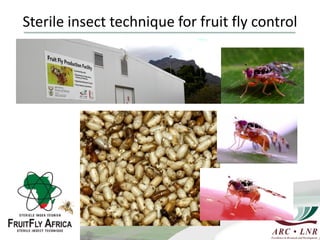 Livestock genomics—Experiences from South Africa