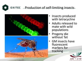 Livestock genomics—Experiences from South Africa