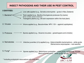 Livestock genomics—Experiences from South Africa