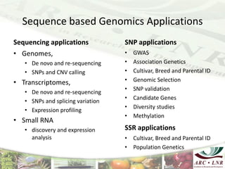 Livestock genomics—Experiences from South Africa