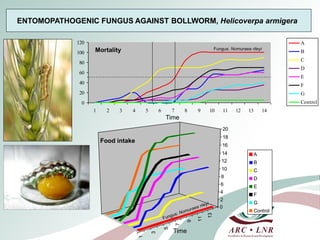 Livestock genomics—Experiences from South Africa