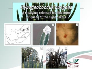 Livestock genomics—Experiences from South Africa