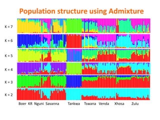 Livestock genomics—Experiences from South Africa