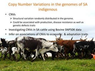 Livestock genomics—Experiences from South Africa