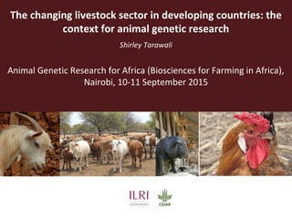 The changing livestock sector in developing countries: the
context for animal genetic research
Shirley Tarawali
Animal Genetic Research for Africa (Biosciences for Farming in Africa),
Nairobi, 10-11 September 2015
 