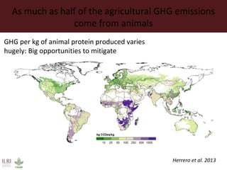 The changing livestock sector in developing countries: The context for animal genetic research