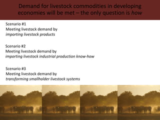 The changing livestock sector in developing countries: The context for animal genetic research