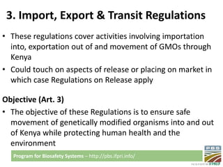 Biosafety regulatory framework in Kenya 
