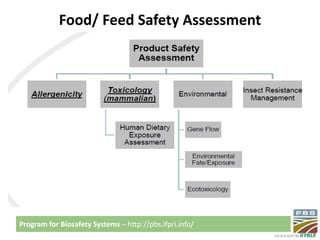 Biosafety regulatory framework in Kenya 