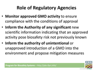 Biosafety regulatory framework in Kenya 