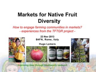 Markets for Native Fruit
Diversity
How to engage farming communities in markets?
- experiences from the TFTGR project 23 Nov 2013
B4FN, Rome, Italy
Hugo Lamers

 