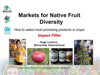 Markets for Native Fruit
Diversity
How to select most promising products or crops

Impact Filter
Hugo Lamers,
Bioversity International
Hugo Lamers

 