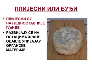 ПЛИЈЕСНИ ИЛИ БУЂИ
• ПЛИЈЕСНИ СУ
НАЈЈЕДНОСТАВНИЈЕ
ГЉИВЕ.
• РАЗВИЈАЈУ СЕ НА
ОСТАЦИМА ХРАНЕ
ОДАКЛЕ УПИЈАЈАУ
ОРГАНСКЕ
МАТЕРИЈЕ.
 