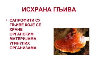 ИСХРАНА ГЉИВА
• САПРОФИТИ СУ
ГЉИВЕ КОЈЕ СЕ
ХРАНЕ
ОРГАНСКИМ
МАТЕРИЈАМА
УГИНУЛИХ
ОРГАНИЗАМА.
 