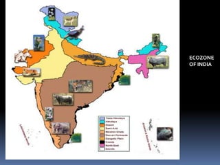 biogeographical classification | PPTX