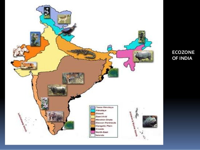 Classification Of Natural Resources Ppt Classification Of Natural Resources Ppt