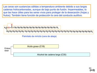 Las ceras son sustancias sólidas a temperatura ambiente debido a sus largas
cadenas hidrocarbonadas, aunque de bajo punto de fusión. Impermeables, lo
que las hace útiles para los seres vivos para proteger de la desecación (hojas y
frutos). También tiene función de protección la cera del conducto auditivo.




                 Palmitato de miricilo (cera de abeja)



                      Ácido graso (C18)
 Enlace
 éster

                                 Alcohol de cadena larga (C30)




                                                                                   63
                                                                                   (i+2)
 