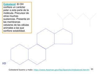 Colesterol: El OH
confiere un carácter
polar a esta parte de la
molécula. Precursor de
otras muchas
sustancias. Presente en
las membranas
celulares de las células
animales a las que
confiere estabilidad.




    Colesterol bueno y malo: http://www.4woman.gov/faq/Spanish/cholesterol.htm#4 93
 