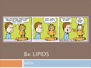 B4: LIPIDS
FATS!!
 