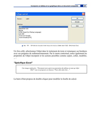 IMG. 191 : OPTIONS DE COLLAGE D’UNE FEUILLE DE CALCUL COMME OBJET OLE - SPÉCIFIQUE CALC
Un fois collé, sélectionnez l'objet dans le traitement de texte et remarquez ses bordures
avec ses poignées de redimensionnement. Par le menu contextuel, notez également les
propriétés de l'objet incorporé et les actions possibles comme copier, coller, modifier,
... :
"Spécifique Excel"
Une image explicative "Document texte après incorporation du tableau en tant qu’objet
OLE" vous est proposée en Annexes "Pour aller plus loin ..."
La barre d'état propose de double-cliquer pour modifier la feuille de calcul.
Incorporer un tableau et un graphique dans un document composite 207
 