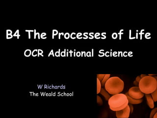 12/27/14
OCR Additional ScienceOCR Additional Science
B4 The Processes of LifeB4 The Processes of Life
W Richards
The Weald School
 