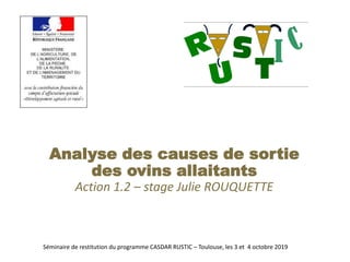 Séminaire de restitution du programme CASDAR RUSTIC – Toulouse, les 3 et 4 octobre 2019
Analyse des causes de sortie
des ovins allaitants
Action 1.2 – stage Julie ROUQUETTE
 