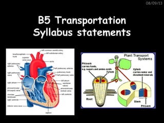 08/09/13
B5 TransportationB5 Transportation
Syllabus statementsSyllabus statements
 