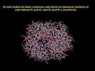 En este modelo de bolas y bastones cada átomo se representa mediante un
color (blanco:H; gris=C; rojo=O; azul=N; y amarillo=S).

 