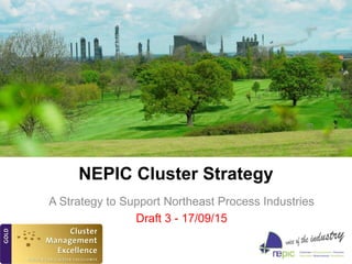 NEPIC Cluster Strategy
A Strategy to Support Northeast Process Industries
Draft 3 - 17/09/15
 