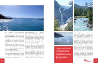 58 59
en diversas multinacionales
energéticas durante la década
de los 2000 y el riesgo de que la
región perdiera su valioso y único
patrimonio natural, movilizó
a la población en contra de la
instalación de grandes centrales
hidroeléctricas que garantizarían
pingües beneficios a las
transnacionales mientras que la
población vería como su principal
valor –la contemplación y el
disfrute de la belleza de especies
únicas- se esfumaba.
El fantasma de la migración y la
sobreexplotación de los recursos
movilizó a la sociedad, quien aunó
sus esfuerzos para hacer posible
que Aysén se replanteara el eje
estratégico de su desarrollo.
Adicionalmente, la exitosa
experiencia del Parque Nacional
Corcovado y del Parque Pumalín
(del cual hablaremos en próximas
intervenciones) plantea el turismo
sostenible como el sector capaz
de desarrollar localmente y de
forma sostenible una región de un
atractivo incomparable.
La población local está
defendiendo de forma admirable
su pleno derecho a proteger y
conservar su actual forma de
vida y el derecho irrenunciable
de sus hijos a continuar viviendo
de los recursos naturales de
forma sostenible, como lo han
hecho durante generaciones. Y
ahí es donde el turismo entra a
jugar un papel estratégico en
el desarrollo sostenible de la
región. ¿Por qué no hacer de
esa zona apenas habitada un
territorio protegido que permita
un desarrollo sostenible y
armonioso con el entorno social y
ambiental, alejado de tentaciones
especulativas cuyo único fin es
explotar los recursos finitos en
nombre de un pretendido y falso
“progreso”? ¿Por qué no convertir
definitivamente a Aysén en un
destino líder en turismo sostenible
que sea un modelo de desarrollo?
¿Por qué no acondicionar
adecuadamente la Carretera
Austral para convertirla en una
carretera escénica, que sería
sin duda una de las más bellas
y espectaculares del mundo? La
población de Aysén tiene clara la
respuesta a tal disyuntiva
El fantasma de la migración
y la sobreexplotación de
los recursos movilizó a la
sociedad, quien aunó sus
esfuerzos para hacer posible
que Aysén se replanteara
el eje estratégico de su
desarrollo.
 