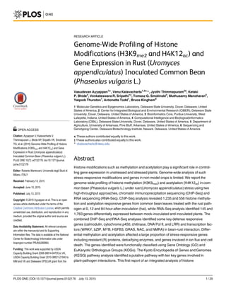 RESEARCH ARTICLE
Genome-Wide Profiling of Histone
Modifications (H3K9me2 and H4K12ac) and
Gene Expression in Rust (Uromyces
appendiculatus) Inoculated Common Bean
(Phaseolus vulgaris L.)
Vasudevan Ayyappan1☯
, Venu Kalavacharla1,2☯
*, Jyothi Thimmapuram3‡
, Ketaki
P. Bhide3
, Venkateswara R. Sripathi1‡
, Tomasz G. Smolinski4
, Muthusamy Manoharan5
,
Yaqoob Thurston1
, Antonette Todd1
, Bruce Kingham6
1 Molecular Genetics and Epigenomics Laboratory, Delaware State University, Dover, Delaware, United
States of America, 2 Center for Integrated Biological and Environmental Research (CIBER), Delaware State
University, Dover, Delaware, United States of America, 3 Bioinformatics Core, Purdue University, West
Lafayette, Indiana, United States of America, 4 Computational Intelligence and Bio(logical)informatics
Laboratory (CIBiL), Delaware State University, Dover, Delaware, United States of America, 5 Department of
Agriculture, University of Arkansas, Pine Bluff, Arkansas, United States of America, 6 Sequencing and
Genotyping Center, Delaware Biotechnology Institute, Newark, Delaware, United States of America
☯ These authors contributed equally to this work.
‡ These authors also contributed equally to this work.
* vkalavacharla@desu.edu
Abstract
Histone modifications such as methylation and acetylation play a significant role in control-
ling gene expression in unstressed and stressed plants. Genome-wide analysis of such
stress-responsive modifications and genes in non-model crops is limited. We report the
genome-wide profiling of histone methylation (H3K9me2) and acetylation (H4K12ac) in com-
mon bean (Phaseolus vulgaris L.) under rust (Uromyces appendiculatus) stress using two
high-throughput approaches, chromatin immunoprecipitation sequencing (ChIP-Seq) and
RNA sequencing (RNA-Seq). ChIP-Seq analysis revealed 1,235 and 556 histone methyla-
tion and acetylation responsive genes from common bean leaves treated with the rust path-
ogen at 0, 12 and 84 hour-after-inoculation (hai), while RNA-Seq analysis identified 145 and
1,763 genes differentially expressed between mock-inoculated and inoculated plants. The
combined ChIP-Seq and RNA-Seq analyses identified some key defense responsive
genes (calmodulin, cytochrome p450, chitinase, DNA Pol II, and LRR) and transcription fac-
tors (WRKY, bZIP, MYB, HSFB3, GRAS, NAC, and NMRA) in bean-rust interaction. Differ-
ential methylation and acetylation affected a large proportion of stress-responsive genes
including resistant (R) proteins, detoxifying enzymes, and genes involved in ion flux and cell
death. The genes identified were functionally classified using Gene Ontology (GO) and
EuKaryotic Orthologous Groups (KOGs). The Kyoto Encyclopedia of Genes and Genomes
(KEGG) pathway analysis identified a putative pathway with ten key genes involved in
plant-pathogen interactions. This first report of an integrated analysis of histone
PLOS ONE | DOI:10.1371/journal.pone.0132176 July 13, 2015 1 / 29
OPEN ACCESS
Citation: Ayyappan V, Kalavacharla V,
Thimmapuram J, Bhide KP, Sripathi VR, Smolinski
TG, et al. (2015) Genome-Wide Profiling of Histone
Modifications (H3K9me2 and H4K12ac) and Gene
Expression in Rust (Uromyces appendiculatus)
Inoculated Common Bean (Phaseolus vulgaris L.).
PLoS ONE 10(7): e0132176. doi:10.1371/journal.
pone.0132176
Editor: Roberto Mantovani, Università degli Studi di
Milano, ITALY
Received: February 13, 2015
Accepted: June 10, 2015
Published: July 13, 2015
Copyright: © 2015 Ayyappan et al. This is an open
access article distributed under the terms of the
Creative Commons Attribution License, which permits
unrestricted use, distribution, and reproduction in any
medium, provided the original author and source are
credited.
Data Availability Statement: All relevant analyses
are within the manuscript and its Supporting
Information files. The data is available at the National
Center for Biotechnology Information site under
bioproject number PRJNA280864.
Funding: This work was supported by USDA
Capacity Building Grant 2008-38814-04735 to VK,
USDA Capacity Building Grant 2010-38821-21540 to
MM and VK and Delaware EPSCoR grant from the
 
