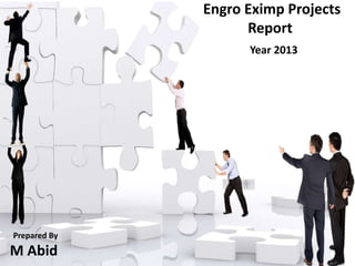 Engro Eximp Projects
Report
Year 2013
Prepared By
M Abid
 