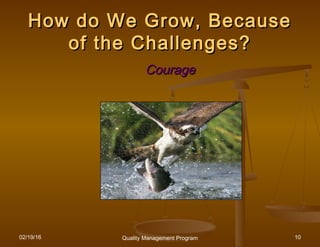 02/19/16 Quality Management Program 10
How do We Grow, BecauseHow do We Grow, Because
of the Challenges?of the Challenges?
CourageCourage
 