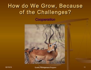 02/19/16 Quality Management Program 11
How do We Grow, BecauseHow do We Grow, Because
of the Challenges?of the Challenges?
CooperationCooperation
 