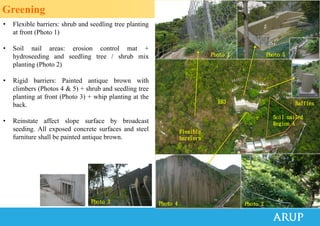 Greening
• Flexible barriers: shrub and seedling tree planting
at front (Photo 1)
• Soil nail areas: erosion control mat +
hydroseeding and seedling tree / shrub mix
planting (Photo 2)
• Rigid barriers: Painted antique brown with
climbers (Photos 4 & 5) + shrub and seedling tree
planting at front (Photo 3) + whip planting at the
back.
• Reinstate affect slope surface by broadcast
seeding. All exposed concrete surfaces and steel
furniture shall be painted antique brown.
• 目的:美化環境，配合生態及可持續
Photo 1
Photo 2
Photo 5
Flexible
barriers
Baffles
Photo 3 Photo 4
RB3
Soil nailed
Region A
 