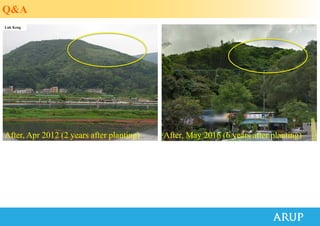 After, May 2016 (6 years after planting)After, Apr 2012 (2 years after planting)
Q&A
Luk Keng
 