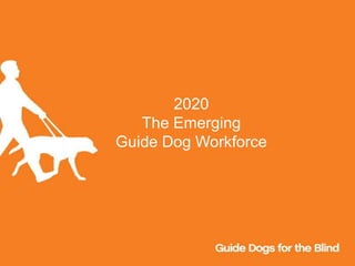 2020
The Emerging
Guide Dog Workforce
 