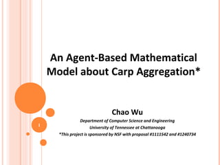 An Agent-Based Mathematical
Model about Carp Aggregation*
Chao Wu
Department of Computer Science and Engineering
University of Tennessee at Chattanooga
*This project is sponsored by NSF with proposal #1111542 and #1240734
1
 