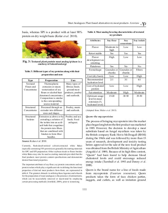 meat analog publication