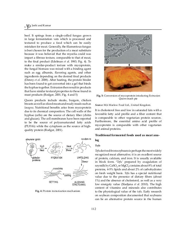 meat analog publication