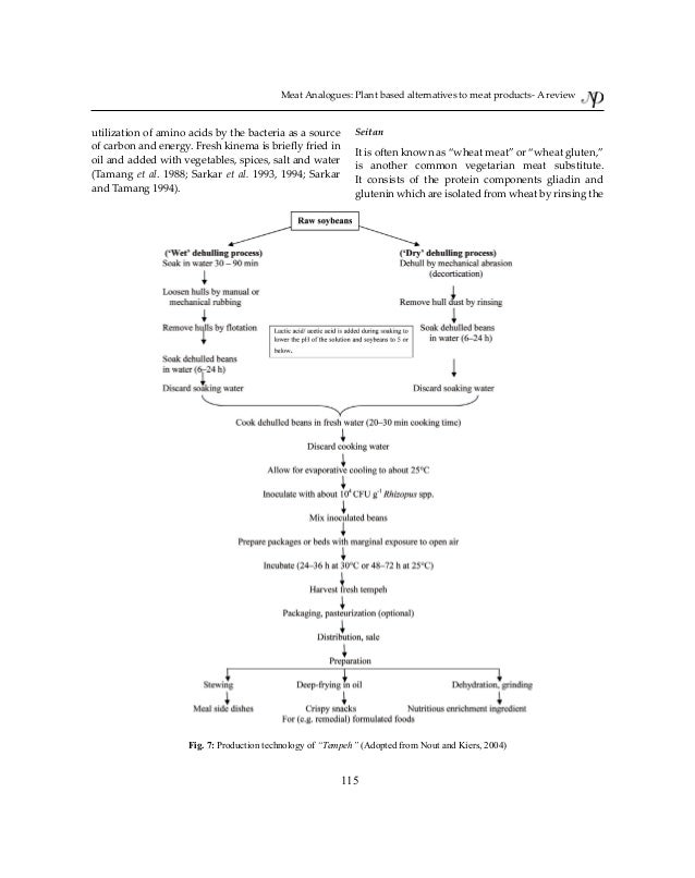 meat analog publication
