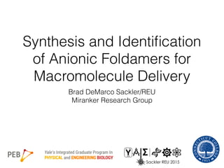 Synthesis and Identiﬁcation
of Anionic Foldamers for
Macromolecule Delivery
Brad DeMarco Sackler/REU
Miranker Research Group
 