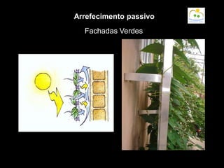 Fachadas Verdes
Arrefecimento passivo
 