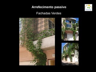 Fachadas Verdes
Arrefecimento passivo
 