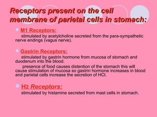 Receptors present on the cellReceptors present on the cell
membrane of parietal cells in stomach:membrane of parietal cells in stomach:
M1 Receptors:
stimulated by acetylcholine secreted from the para-sympathetic
nerve endings (vagus nerve).
Gastrin Receptors:
stimulated by gastrin hormone from mucosa of stomach and
duodenum into the blood.
presence of food causes distention of the stomach this will
cause stimulation of mucosa so gastrin hormone increases in blood
and parietal cells increase the secretion of HCl.
H2 Receptors:
stimulated by histamine secreted from mast cells in stomach.
 