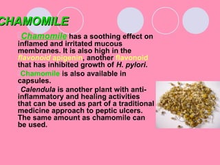 CHAMOMILECHAMOMILE
Chamomile has a soothing effect on
inflamed and irritated mucous
membranes. It is also high in the
flavonoid apigenin, another flavonoid
that has inhibited growth of H. pylori.
Chamomile is also available in
capsules.
Calendula is another plant with anti-
inflammatory and healing activities
that can be used as part of a traditional
medicine approach to peptic ulcers.
The same amount as chamomile can
be used.
 