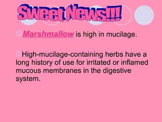 Marshmallow is high in mucilage.
High-mucilage-containing herbs have a
long history of use for irritated or inflamed
mucous membranes in the digestive
system.
 