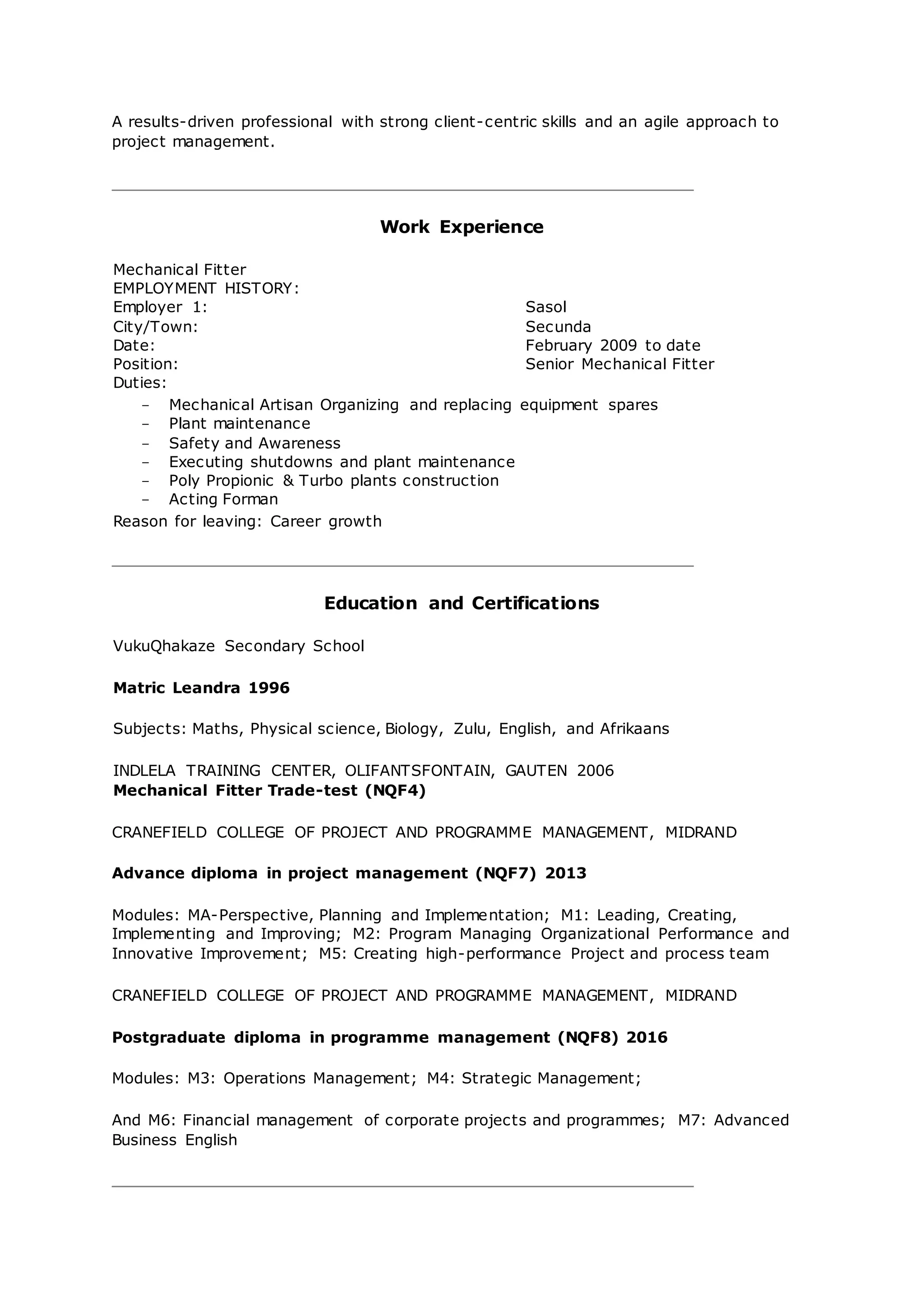 PROJECT MANAGER CURRICULUM VITAE | DOCX